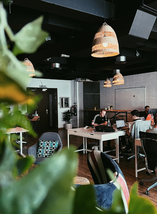 Cannabis marketing team at work in a cafe